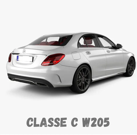 C W205